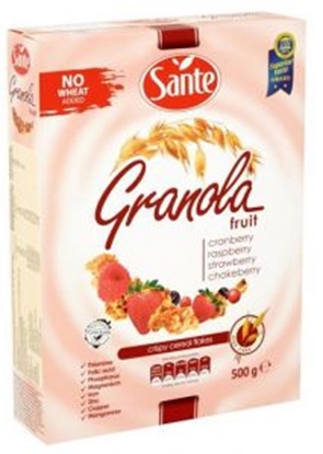 Picture of SANTE GRANOLA FRUIT&NUT 500GR